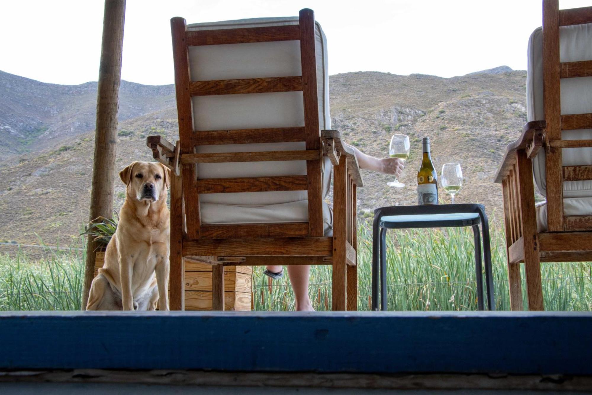 Rumali Farm & Cottage Montagu Esterno foto